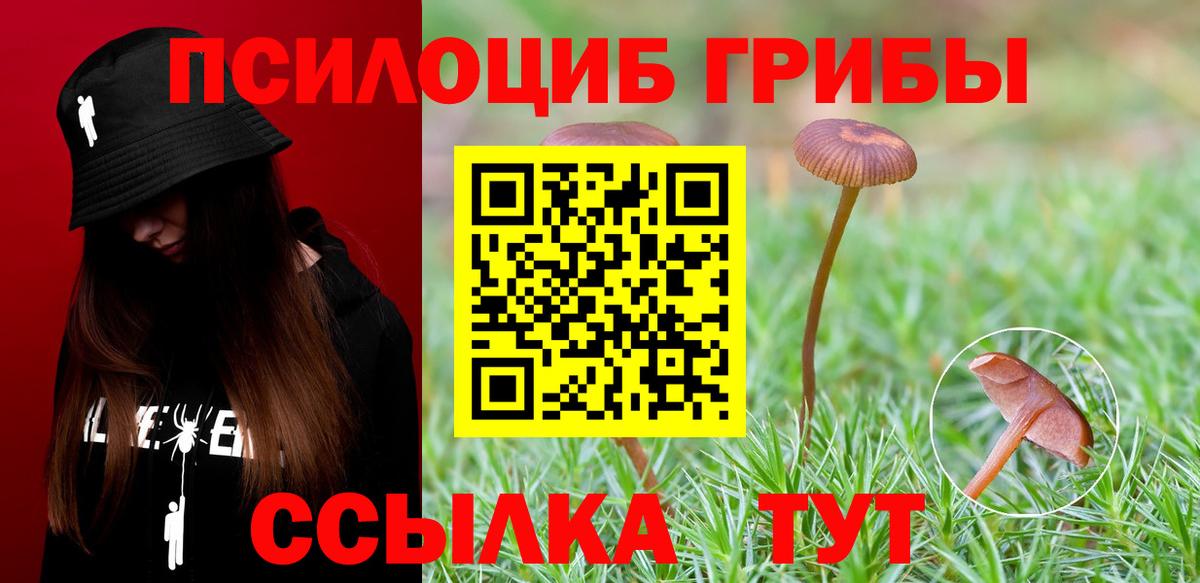 Сыктывкар  Псилоцибиновые грибы Cubensis  Вход с VPN  Псилоцибиновые грибы Psilocybine cubensis 